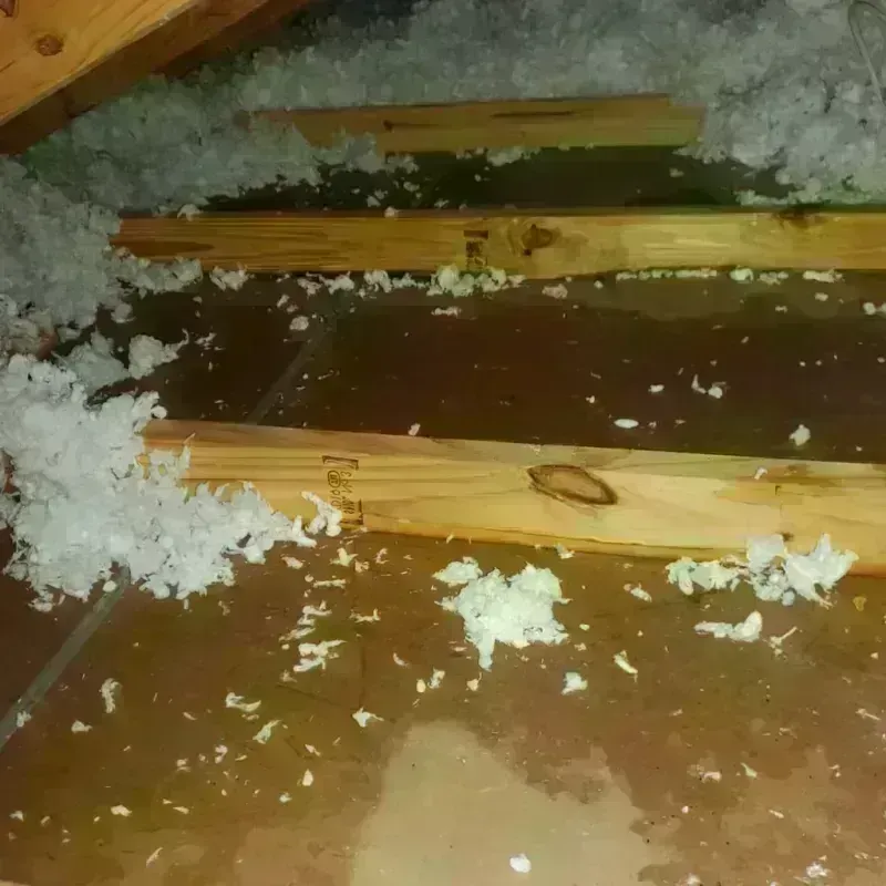 Attic Water Damage in North Highlands, CA