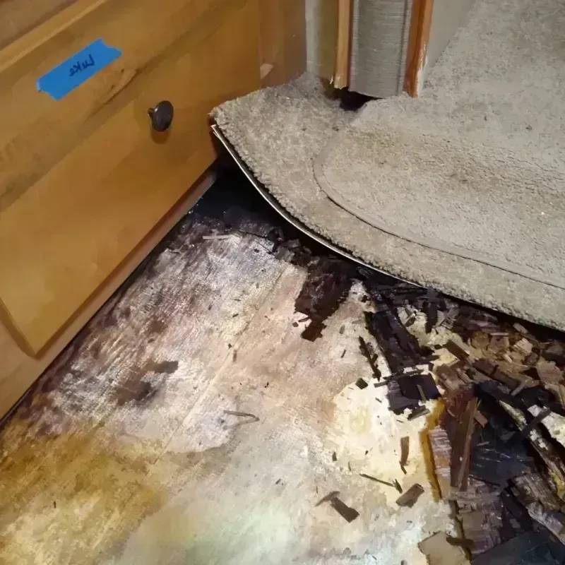 Wood Floor Water Damage in North Highlands, CA